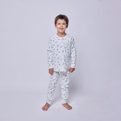 Pijama niño manga larga tortugas acuarela algodón pima - SimplyB